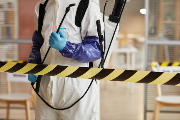 Professional Sewage Cleanup technician working in Mendota, IL